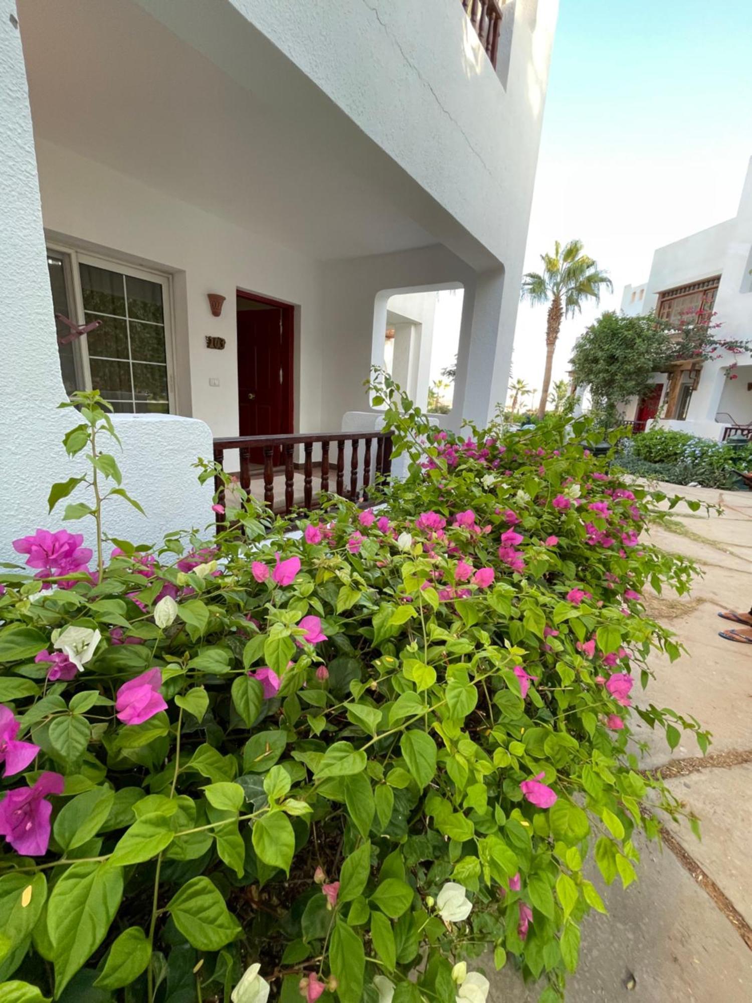 Delta Sharm Apartments With Free Internet Wi-Fi Dış mekan fotoğraf